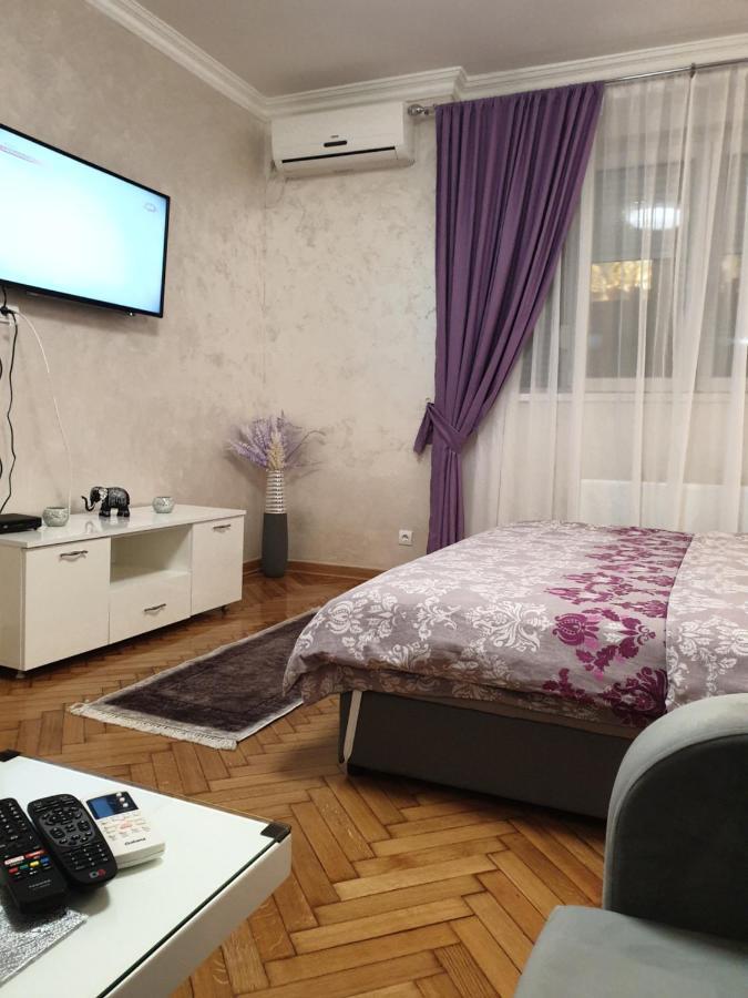 Appartement Elena Lux à Belgrade Extérieur photo